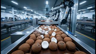 Inside a Modern Coconut Factory: The Massive Coconut Processing Line