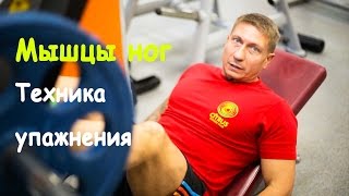 Мышцы ног, тренировка с Михаилом Корочкиным (ЦИТРУС ФИТНЕС КЛУБ ЛЮБЕРЦЫ)(Михаил рассказывает нам пару упражнений .Техника выполнения и полезные советы. Фитнес клуб ЦИТРУС находит..., 2015-10-23T08:13:00.000Z)