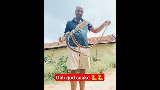ohh  god snake #youtube #animals #nature