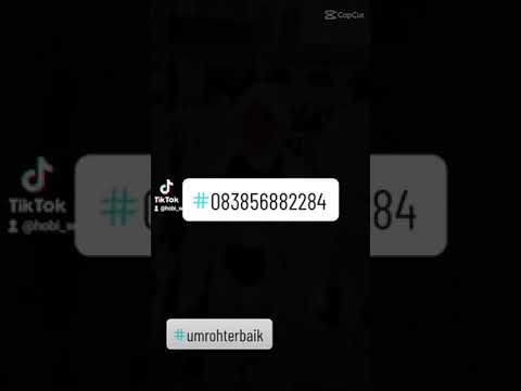 Biaya Umroh 2023 Indonesia Biaya Umroh 2023 Indonesia