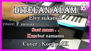 DITELAN ALAM - Elvy Sukaesih -  Karaoke Dangdut Korg Pa3X