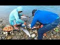 PESCADORES PESCAN PECES DE MAR PARA COCINAR EN EL RÍO - Pesca con Atarraya