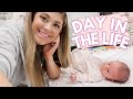 DITL WITH A NEWBORN & TODDLER | @LIFE OF MADDY