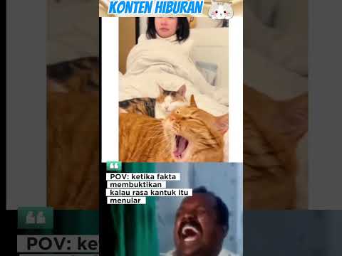 النعاس المعدي مضحك ميم فيديو قصير