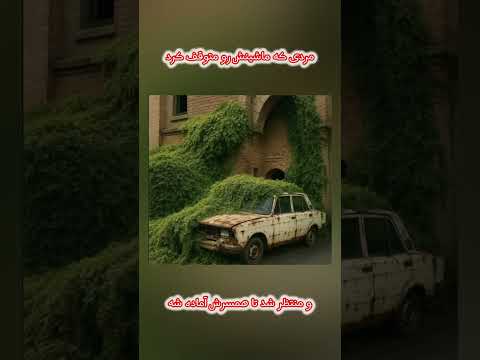 مردی که ماشینش رو متوقف کرد و منتظر شد تا همسرش آماده شه