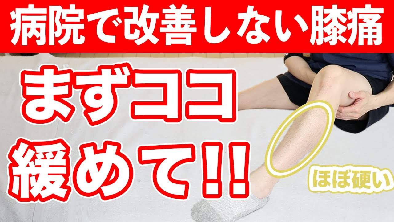 【自分で治す!!】病院で改善しない膝の痛みはまずココを緩めて!!【東京　膝の痛み】東京都渋谷区恵比寿の整体院蒼