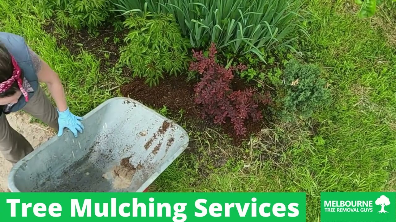 Tree Mulching Services Melbourne
