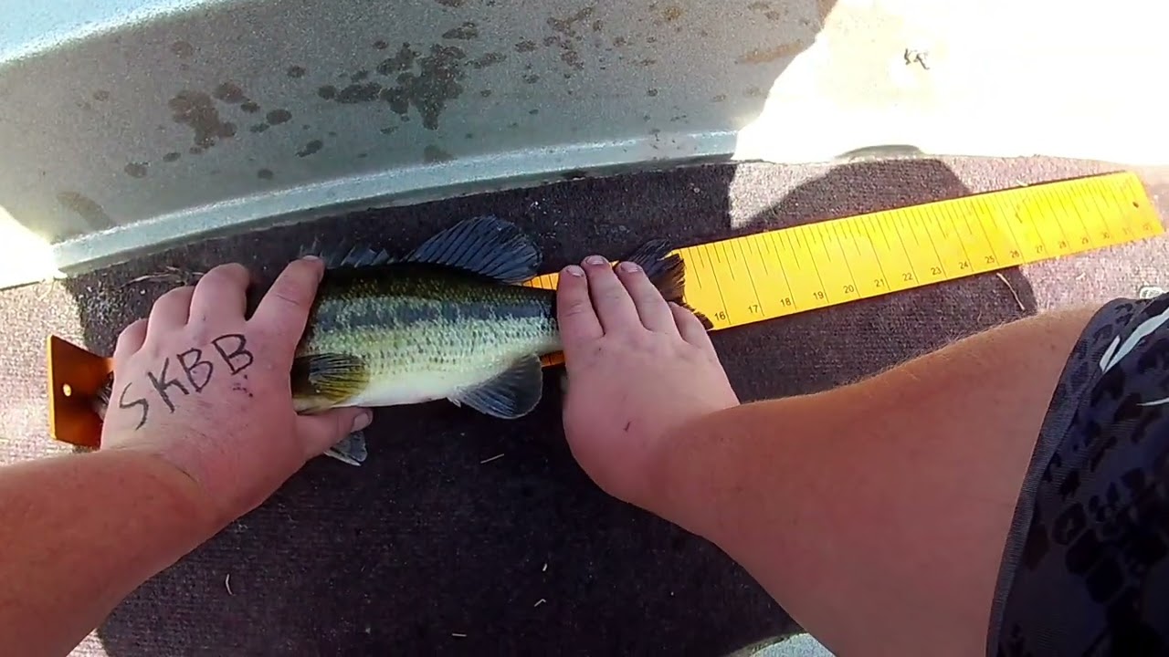 Strike king big bass Part 1 (May 2024) #bassfishing #wisconsin #fishing #adventure #frogfishing