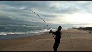 5 kg paarai fish 🐠🐟🐠🐟 @ ECR beach near crocodile park Chennai