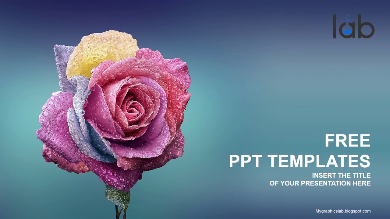 Multi Color Rose | PPT Design
