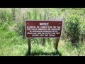 Paynes Prairie Preserve – Gainesville Florida – Exploratory day trip May 07, 2015