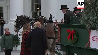 Trump and first lady welcome WH Christmas tree