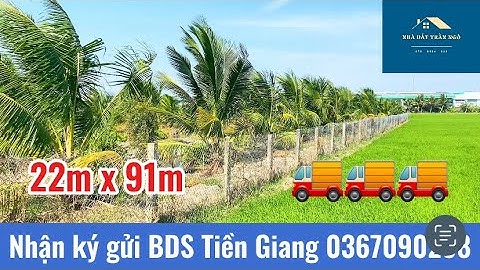 T.554_2000m2 vườn dừa ao cá đường xe tải view kênh Long Định Châu Thành Tiền Giang