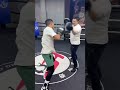 Boxing training china #boxing #wushufight #boxingtraining #muaythai #boxingworkout #fightprep #mma