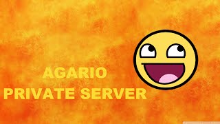 Agario how to make a private server like bodil