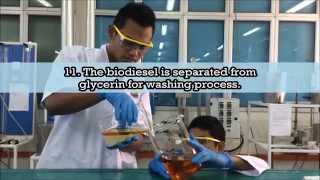 How to make Biodiesel by lab scale