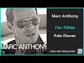 Marc Anthony - Flor Pálida Lyrics English Translation - Spanish and English Dual Lyrics