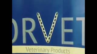 8 Temmuz 2018 İstanbul Semi̇neri̇