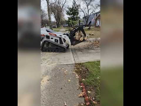 mini skid steer