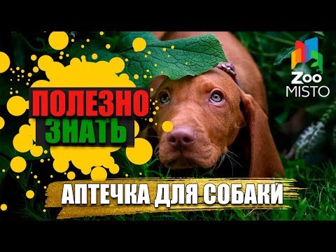 Полезно знать с