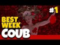 Best Weekly COUB #1 | Best Coub | Cube | Куб | Лучшие Coub | Приколы Января 2020 | Coubster