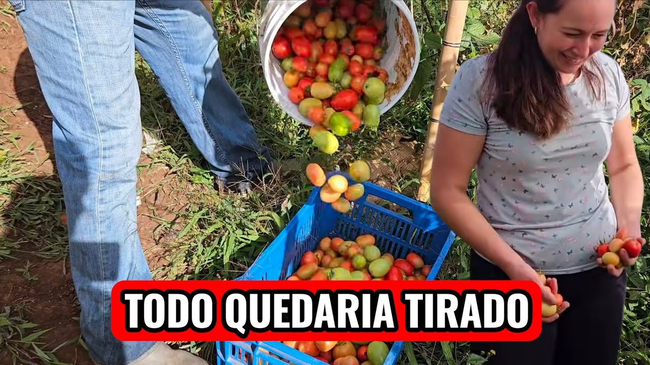 ESTE ES EL PARAISO DE LA ABUNDANCIA