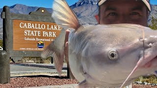 This Desert Lake Has Big Catfish!