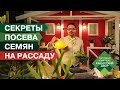 ✅Самый лучший способ посева семян на рассаду! Идеальный ГРУНТ ДЛЯ РАССАДЫ | Рассада огурцов 🥒