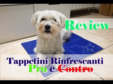 Review Tappetini Rinfrescanti Per Animali