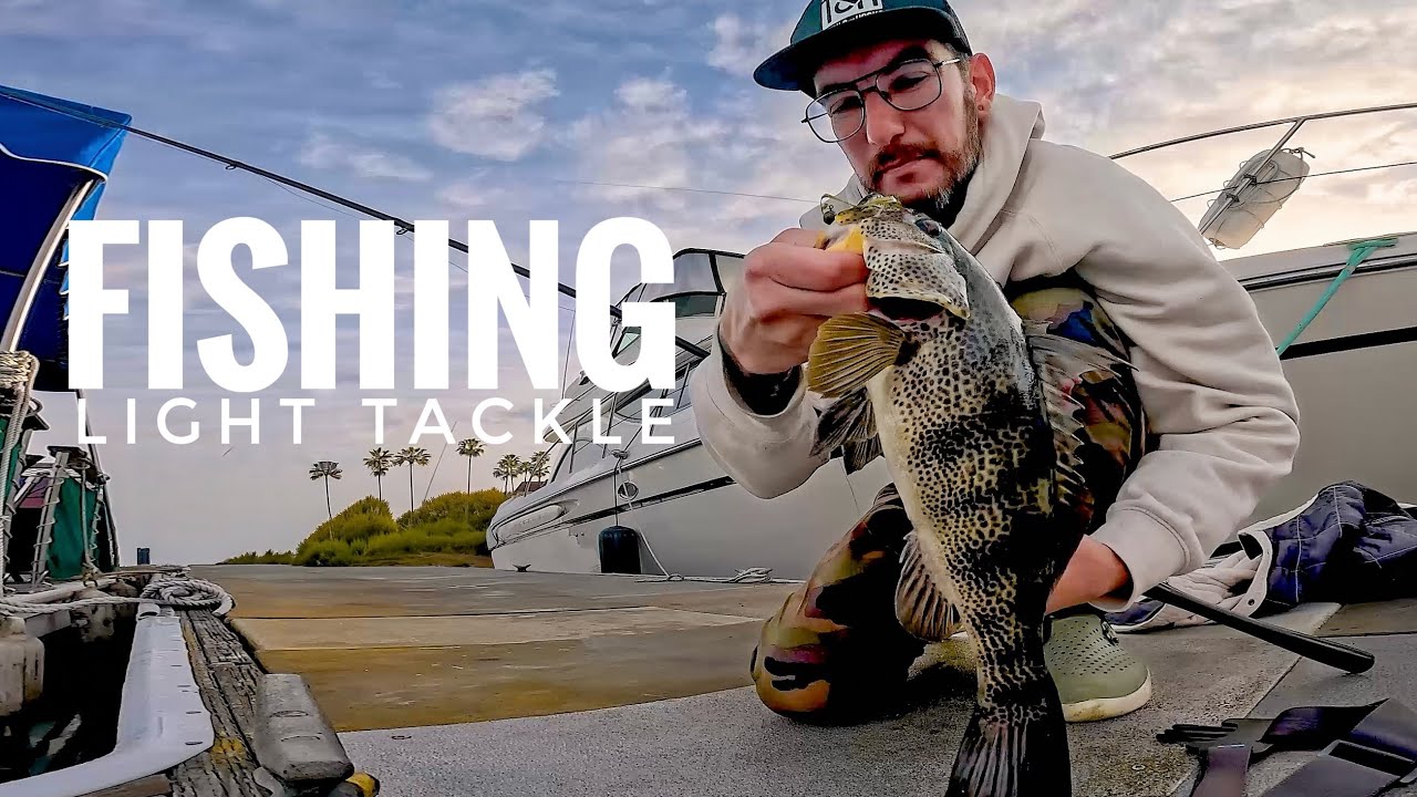 Крупный пятнистый окунь, пойманный на легкую снасть, непрерывный клев!