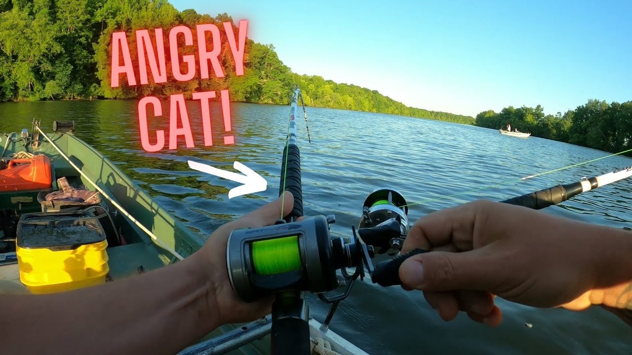 Big Catfish Tries To Rip My Thumb Off! Fishing The Summer Spawn