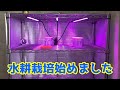 室内で簡単にできる水耕栽培を始めました