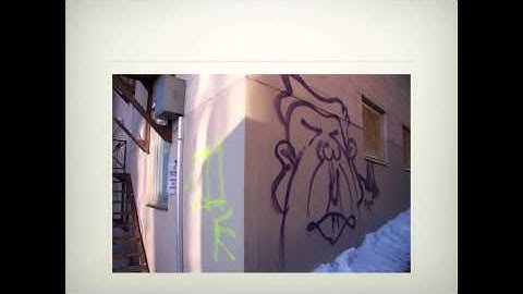 Final Portfolio Presentation