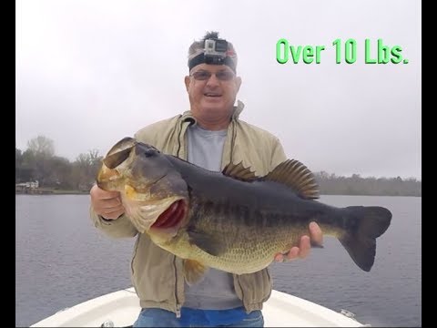 Rained Out But Still Caught A Big Bass, Shiner Fishing