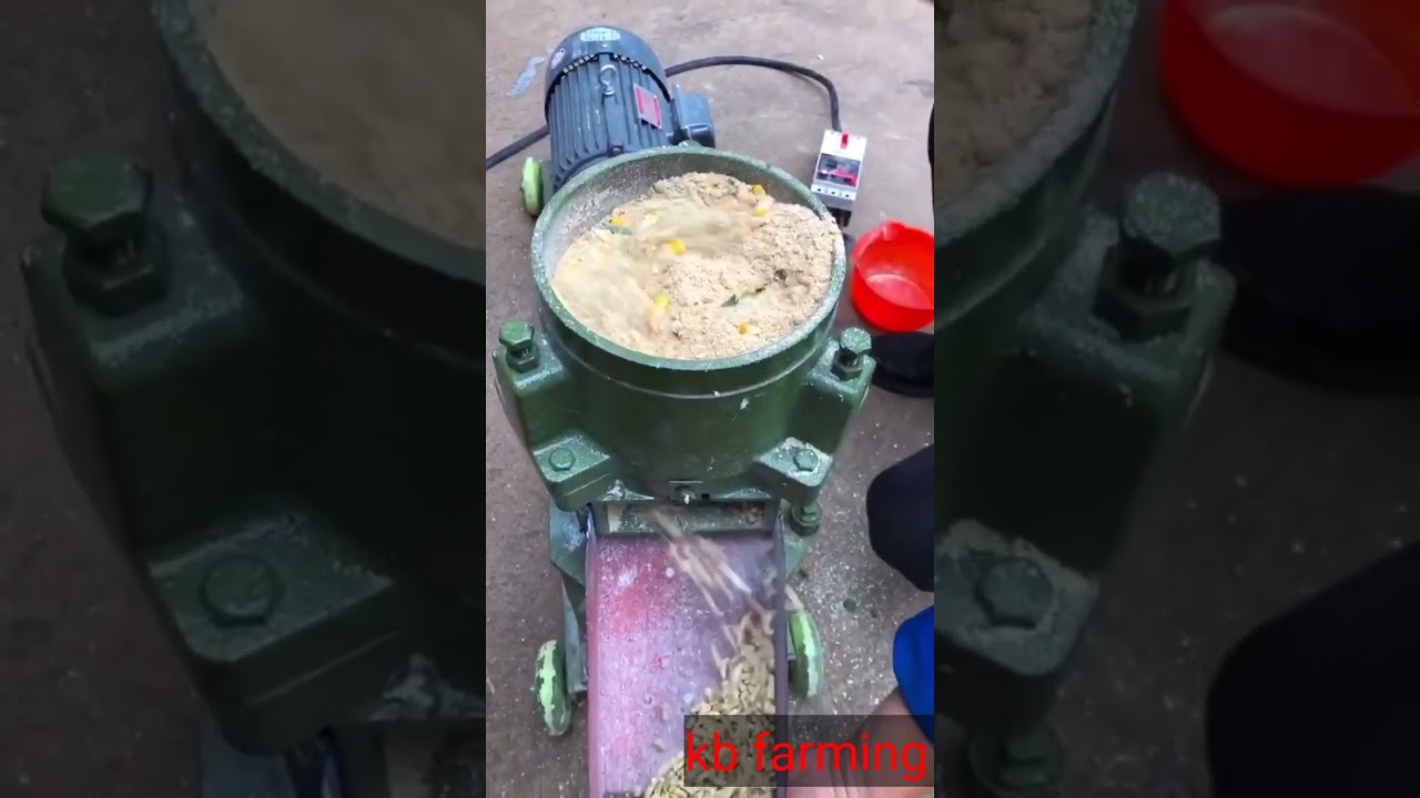 animal feed making machine 