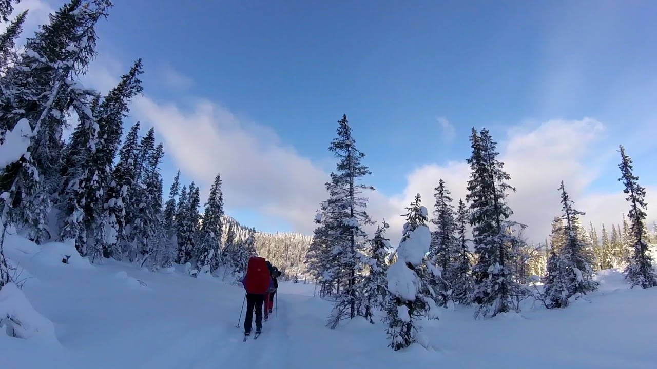 Winter Forest Expedition in HØydalsmo Norway - YouTube