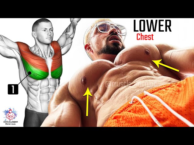 🧲 7 BEST EXERCISE LOWER CHEST WORKOUT 🔥 