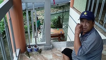 Excerpt from the Lunar New Year of the Tay Ngo people