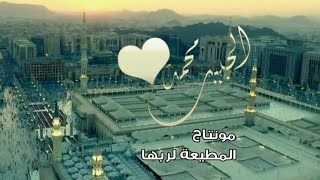 نور اضاء بصيرتي فأضائني لما تذكرت الحبيب محمدا - اسمعها