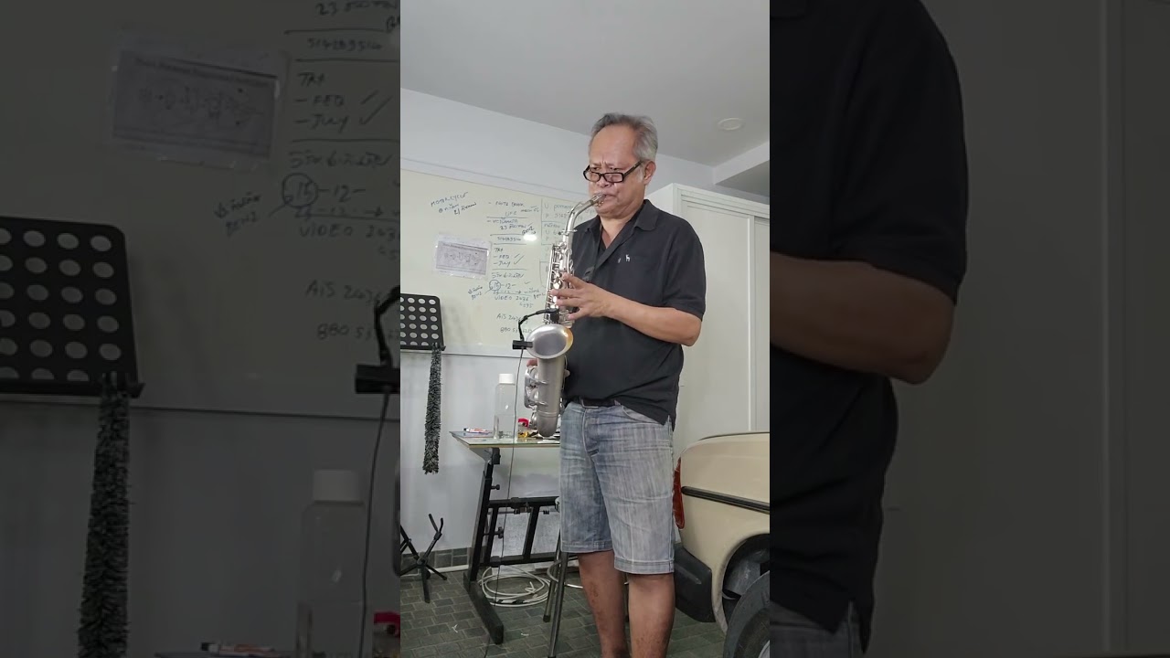 สาวงามเมืองพิจิตร : Cover by Tiger  ( Alto Saxophone  )