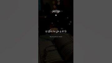 "آية تهز القلب من سورة النحل ✨"
