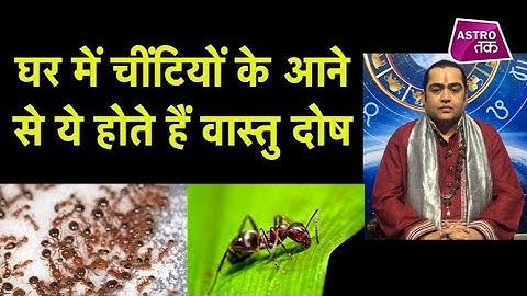जब घर में आने लगे लाल चींटियां तो होंगे ये वास्तु दोष | Kamal NandLal | Astro Tak
