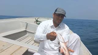 ماهیگیری با قلاب || صید سرخو و ماهی شهری || hook fishing on the boat 🛥