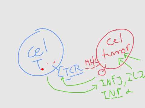 Vídeo: La Niclosamida, Un Medicamento Antihelmíntico, Aumenta La Eficacia Del Bloqueo Del Punto De Control Inmunitario PD-1 / PD-L1 En El Cáncer De Pulmón De Células No Pequeñas