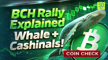 Why Bitcoin Cash Jumped 10% Today: Cashinals, Whale Flow Analysis & Tactical Entries | 3.0TV