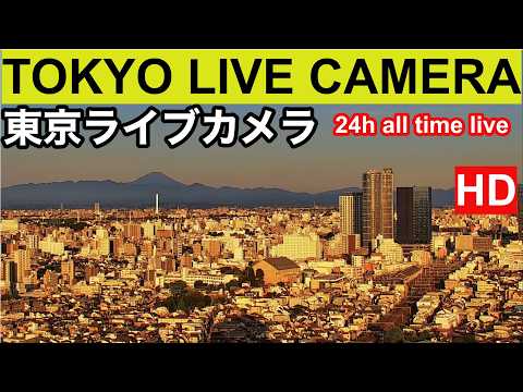 Tokyo Skyline & Mount Fuji Live Camera – Nakano — Tokyo, Tokyo live camera thumbnail