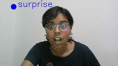 Demo of facial expression recognition algorithm