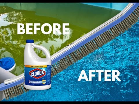 easy-and-affordable-way-to-kill-algae-and-clean-your-pool-with-bleach!-bestway-above-ground-pool
