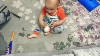 Baby baseball - 14 months old by Amy Chestnut Trevino 14 views 2 years ago 48 seconds