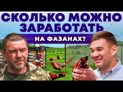 Птицеводство как бизнес | Сколько приносит разведение Фазанов? Охота на птиц | Андрей Даниленко